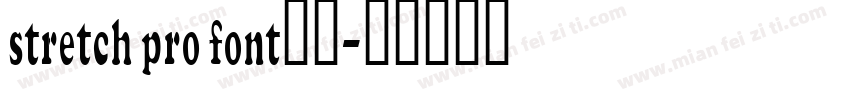 stretch pro font字体字体转换